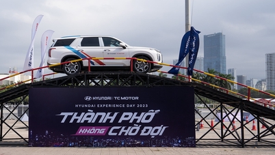 Trải nghiệm các mẫu xe Hyundai trong sự kiện Hyundai Experience Day 2023