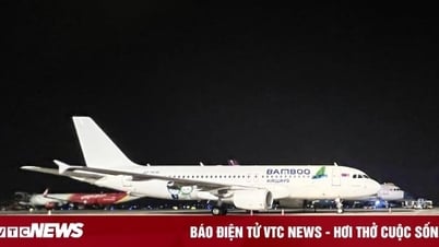 Receiving more aircraft, Bamboo Airways increases operating frequency on Quy Nhon route