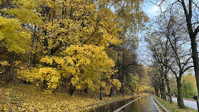 Прекрасная золотая осень в Москве