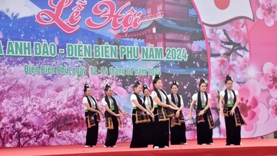 ពិធីបុណ្យផ្ការីក Dien Bien Phu ឆ្នាំ 2025 មានសកម្មភាពទាក់ទាញជាច្រើន។