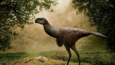 内モンゴルで1億1千万年前の奇妙な生物が発見される