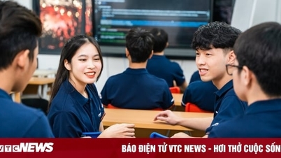 Ngành Khoa học máy tính có gì đặc biệt?