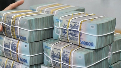 Tightly manage credit in real estate, refund VAT for inspected records