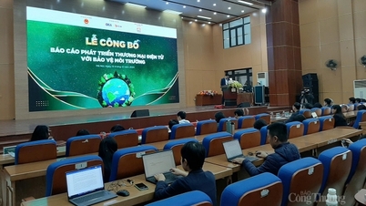80% នៃអ្នកប្រើប្រាស់អនឡាញវាយតម្លៃ e-commerce ថាមានផលប៉ះពាល់អវិជ្ជមានលើបរិស្ថាន