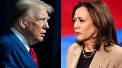 Ông Trump và bà Harris đang bị khóa chặt trong một cuộc chạy đua sít sao