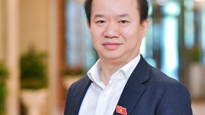 토지법과 신용기관법 개정은 모두 매우 '핫'한 이슈입니다.