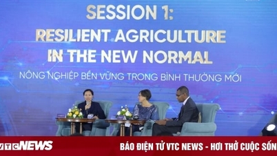 VinFuture nâng cao uy tín và vị thế quốc tế của Việt Nam