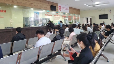 Công ty giải thể, người lao động làm gì để được chốt sổ bảo hiểm?