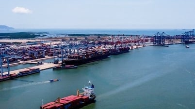 Chính phủ chấp thuận sửa Nghị định 58 về quản lý hoạt động hàng hải