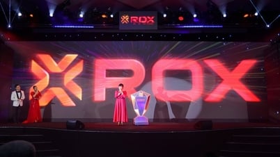 Vì sao TNG đổi tên là Tập đoàn ROX Group?
