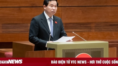 Sớm chỉnh lý Luật Đấu thầu (sửa đổi) để phù hợp với thực tiễn