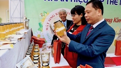 キムソンの土地の甘い蜂蜜