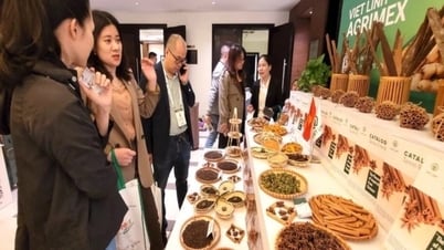 Supporting the spice industry to take advantage of FTAs ​​and increase exports