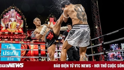 ស្ដេច Muay Thai Saenchai បញ្ចេញ​ក្បាច់​វាយ​សម្រុក​ផ្តួល​អ្នក​ប្រដាល់​ប្រេស៊ីល