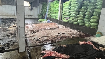 Kiểm tra đột xuất, phát hiện cơ sở sơ chế 4 tấn da bò hôi thối