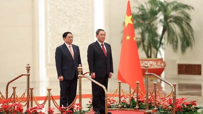 Thông cáo báo chí chung Việt Nam