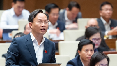 보험판매, 은행 수조원 이익, 차용인 두줄로 울부짖다