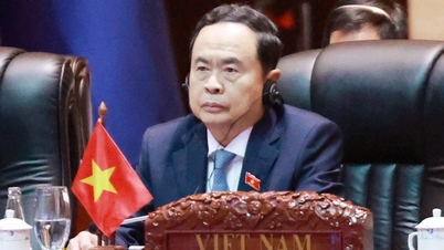 Председатель Национальной ассамблеи Чан Тхань Ман принимает участие в 45-м заседании Исполнительного комитета AIPA