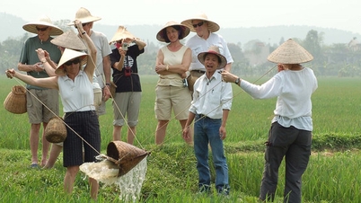 រដ្ឋាភិបាលអនុញ្ញាតឱ្យទេសចរណ៍លើដីកសិកម្ម។