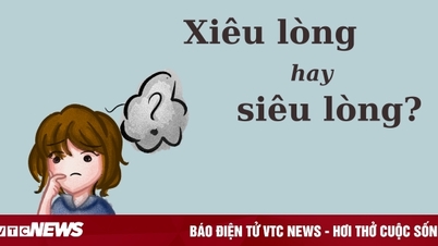 Thử thách Tiếng Việt: 'Xiêu lòng' hay 'siêu lòng'?