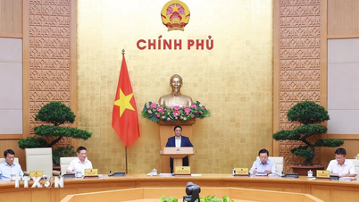 Thủ tướng: Phấn đấu đạt và vượt toàn bộ 15 chỉ tiêu chủ yếu của năm 2024