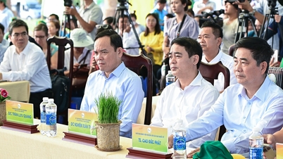 Launching the implementation of the Project of 1 million hectares of high-quality and low-emission rice