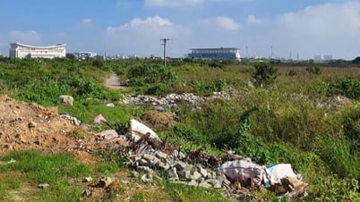 Da Nang will auction a land plot of more than 13 hectares to build a 3,500 billion VND project.