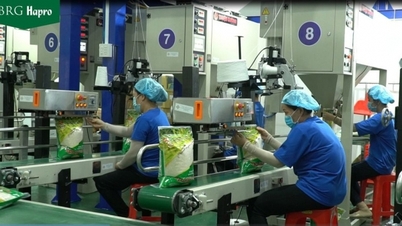 Xuất khẩu giảm, Việt Nam vẫn xuất siêu ấn tượng; vải Thanh Hoá "lên đường" sang Nhật Bản và Anh