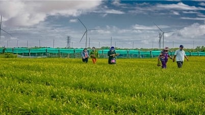 National Target Program 1719 contributes to maintaining and improving the quality of NTM criteria in the coastal border area of ​​Soc Trang province.