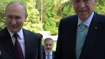 プーチン大統領、「ウクライナ危機に関連する問題」について議論