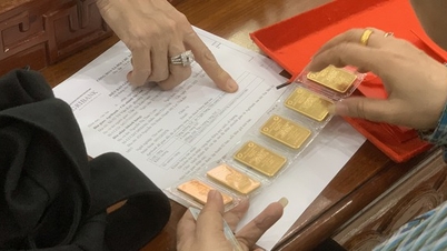 Giá vàng miếng SJC, vàng nhẫn "đua nhau" rớt mạnh