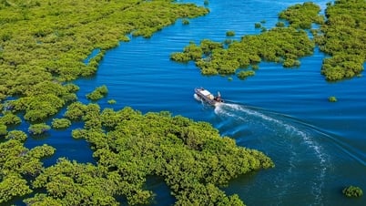 Sự phong phú và đa dạng của hệ sinh thái động thực vật biển Việt Nam