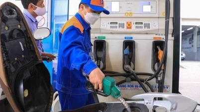 Doanh nghiệp nói "không hợp lý"