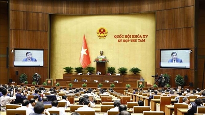 Thông cáo báo chí số 8, Kỳ họp thứ 8, Quốc hội khóa XV