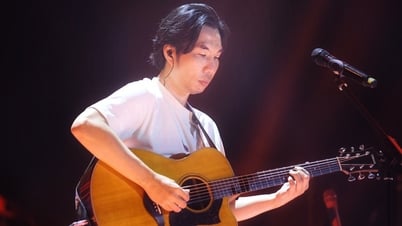 Nghe Trái đất tròn ở Anh trai vượt ngàn chông gai, khán giả hỏi ‘quái vật Hải Bột lặn lâu thế’