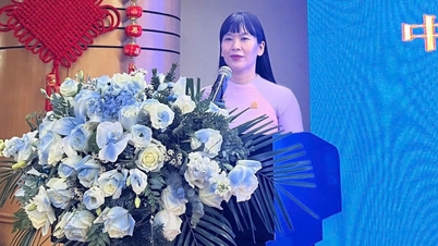Quảng bá Yến sào Khánh Hoà ở thị trường Trung Quốc