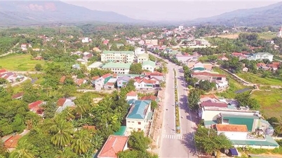 Giảm nghèo ở vùng quế Trà Bồng