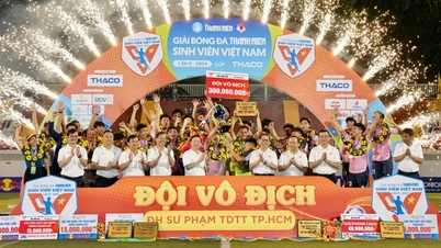 ក្រុមអប់រំកាយ និងកីឡាសាកលវិទ្យាល័យទីក្រុងហូជីមិញ បានឈ្នះជើងឯក