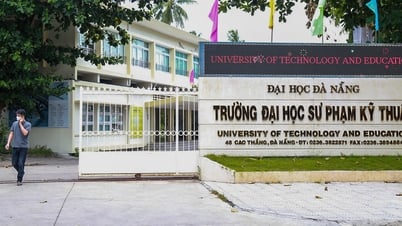 សកលវិទ្យាល័យ Danang និយាយអំពីសាស្ត្រាចារ្យប្រើភស្តុតាងថតចំលងរយៈពេល ៥ ឆ្នាំ ដោយសារ 'សៀវភៅគិតគឺពិត'
