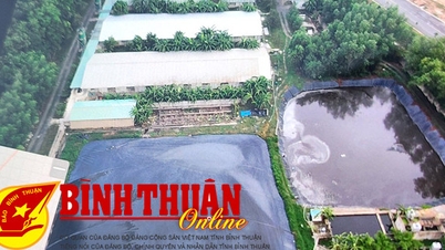 Vòng vây nguy khốn