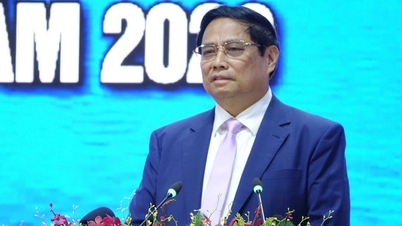 កំណត់ឡើងវិញនូវសក្ដានុពល និងគុណសម្បត្តិសម្រាប់ Phu Quoc ដើម្បីអភិវឌ្ឍឱ្យអស់ពីសក្តានុពលរបស់ខ្លួន។