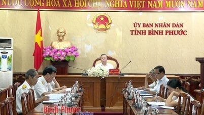 Góp ý dự thảo sửa đổi Nghị định 44 về phương pháp định giá đất
