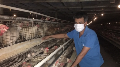 Bộ NN-PTNT nói gì về thịt ngoại ồ ạt vào Việt Nam?