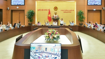 Đồng ý trình Quốc hội sửa đổi, bổ sung Luật Bảo hiểm y tế vào tháng 10/2024