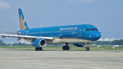 Airlines add 3,000 flights, supplement Tet tickets