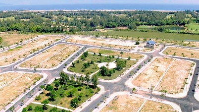 Land prices unlikely to increase dramatically in 2023