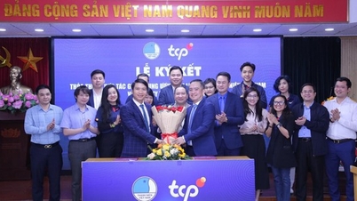 Công bố triển khai công trình “Không gian Thể thao Thanh niên