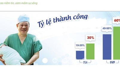អត្រាជោគជ័យ IVF នៅវៀតណាមគឺខ្ពស់ជាងមធ្យមភាគពិភពលោក