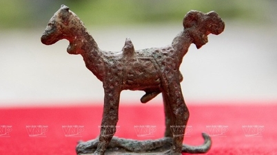 Two national treasures in Binh Duong, strange tomb, strange animal statue, don't know what kind of animal it is