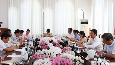 NTO - ការពង្រឹងសុវត្ថិភាពចំណីអាហារក្នុងអំឡុងពេលពិធីបុណ្យទំពាំងបាយជូ